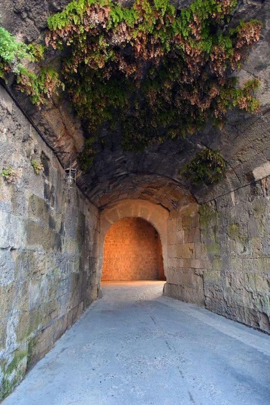 Paris * Rhodes City